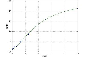 A typical standard curve