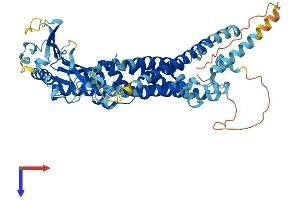 Mucolipin 2 (MCOLN2) (AA 1-566) protein (His tag)
