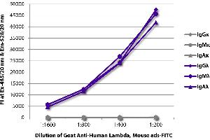 FLISA plate was coated with purified human IgGκ, IgMκ, IgAκ, IgGλ, IgMλ, and IgAλ. (Goat anti-Human Ig (Chain lambda) Antibody)