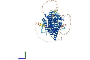AlphaFold protein structure predicition of Mouse Recombinant Lbr Protein, UniprotID Q3U9G9 (Lamin B Receptor Protein (LBR) (AA 1-626) (His tag))