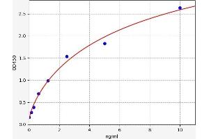 HSD17B10 ELISA Kit