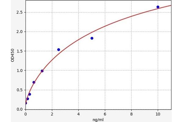 HSD17B10 ELISA Kit