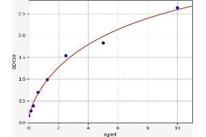 Typical standard curve (HSD17B10 ELISA Kit)