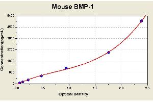 Diagramm of the ELISA kit to detect Mouse BMP-1with the optical density on the x-axis and the concentration on the y-axis. (BMP1 ELISA Kit)