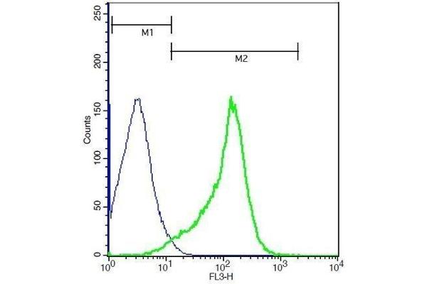 NCR1 antibody  (AA 198-206)