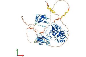 AlphaFold protein structure predicition of Human Recombinant HNRNPL Protein, UniprotID P14866