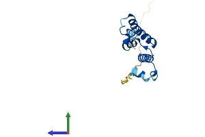 AlphaFold protein structure predicition of Human Recombinant SNTN Protein, UniprotID A6NMZ2 (Sntn Protein (AA 1-147) (His tag))