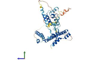 AlphaFold protein structure predicition of Human Recombinant DNAJB12 Protein, UniprotID Q9NXW2 (DNAJB12 Protein (AA 1-375) (His tag))