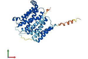 AlphaFold protein structure predicition of Human Recombinant SLC35A1 Protein, UniprotID P78382