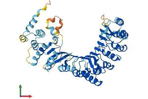 AlphaFold protein structure predicition of Human Recombinant PRAMEF20 Protein, UniprotID Q5VT98 (PRAMEF20 Protein (AA 1-475) (His tag))