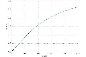 A typical standard curve (Amphiregulin ELISA Kit)