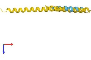 Family with Sequence Similarity 25, Member C (FAM25C) (AA 1-89) protein (Fc Tag)