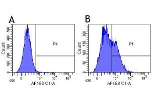 Flow-cytometry using the anti-CD25 (IL2R) research biosimilar antibody Daclizumab   Human lymphocytes were stained with an isotype control (panel A) or the rabbit-chimeric version of Daclizumab (panel B) at a concentration of 1 µg/ml for 30 mins at RT. (Recombinant IL2RA (Daclizumab Biosimilar) antibody)