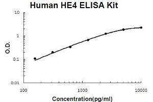 Human HE4 PicoKine ELISA Kit standard curve (WFDC2 ELISA Kit)