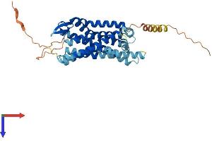 Opioid Receptor, delta 1 (OPRD1) (AA 1-372) protein (His tag)
