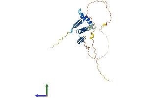 AlphaFold protein structure predicition of Mouse Recombinant Helt Protein, UniprotID Q7TS99