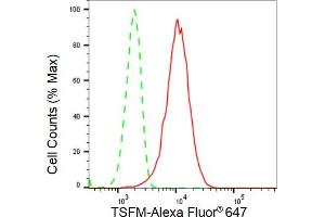 Flow cytometric analysis of TSFM expression in HeLa cells using TSFM antibody (ABIN7800656), 1:2,000). (Recombinant TSFM antibody)