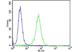 Flow cytometric analysis of NIH-3T3 cells using NTRK3 Antibody (Center)(green, Cat(ABIN6243920 and ABIN6577806)) compared to an isotype control of rabbit IgG(blue). (NTRK3 antibody  (AA 393-426))