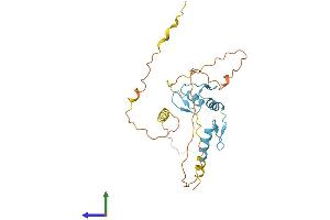 AlphaFold protein structure predicition of Mouse Recombinant Osr1 Protein, UniprotID Q9WVG7 (OSR1 Protein (AA 1-266) (His tag))