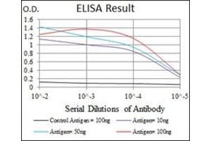 ELISA image for anti-Integrin beta 1 (ITGB1) antibody (ABIN1106232) (ITGB1 antibody)