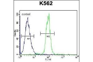 TCF21 Antibody (C-term) (ABIN655524 and ABIN2845037) flow cytometric analysis of K562 cells (right histogram) compared to a negative control cell (left histogram). (TCF21 antibody  (C-Term))