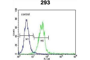 CLEC11A Antibody (Center) flow cytometric analysis of 293 cells (right histogram) compared to a negative control cell (left histogram). (CLEC11A antibody  (Middle Region))