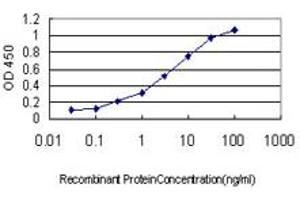 Detection limit for recombinant GST tagged MAP2K3 is approximately 0. (MAP2K3 antibody  (AA 1-100))