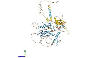 AlphaFold protein structure predicition of Mouse Recombinant Gzf1 Protein, UniprotID Q4VBD9