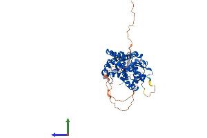 Protein Structure (PS) image for Thyroid Hormone Receptor, beta (THRB) (AA 1-461) protein (His tag) (ABIN7544374)