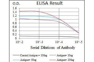 Black line: Control Antigen (100 ng), Purple line: Antigen(10 ng), Blue line: Antigen (50 ng), Red line: Antigen (100 ng), (RPA1 antibody)