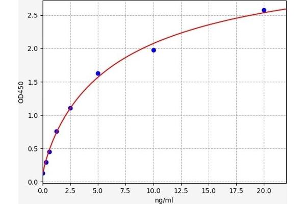 HYAL4 ELISA Kit