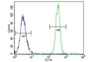 Flow Cytometry (FACS) image for anti-Nitric Oxide Synthase 3 (Endothelial Cell) (NOS3) (AA 1156-1183) antibody (ABIN3032003)