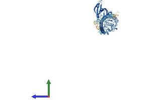 Protein Structure (PS) image for Death-Associated Protein Kinase 3 (DAPK3) (AA 1-454) protein (His tag) (ABIN7553658)