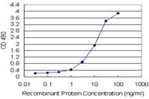BID (Human) Matched Antibody Pair