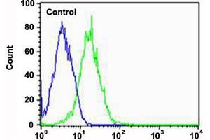 Flow cytometric analysis of HepG2 cells (green histogram) and an isotype control of mouse IgG1 (blue histogram) reacted with PPT1 monoclonal antibody  at 1:25 dilution. (PPT1 antibody)
