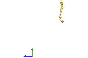 AlphaFold protein structure predicition of Human Recombinant LINC01556 Protein, UniprotID Q5JQF7 (C6orf100 Protein (AA 1-62) (Fc Tag))