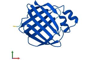 AlphaFold protein structure predicition of Mouse Recombinant Rbp7 Protein, UniprotID Q9EPC5 (RBP7 Protein (AA 1-134) (His tag))