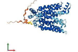 AlphaFold protein structure predicition of Mouse Recombinant Slc2a7 Protein, UniprotID P0C6A1