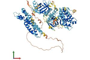 Protein Structure (PS) image for Active BCR-Related (ABR) (AA 1-859) protein (His tag) (ABIN7551845)