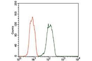 Flow cytometric analysis of HEK293 cells using DCTN4 mouse mAb (green) and negative control (red). (Dynactin 4 antibody  (AA 57-298))