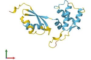 AlphaFold protein structure predicition of Human Recombinant RPL12 Protein, UniprotID P30050 (RPL12 Protein (AA 1-165) (His tag))