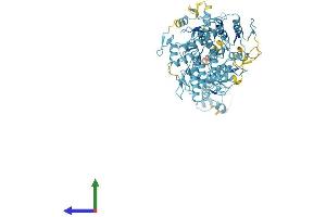 AlphaFold protein structure predicition of Human Recombinant ZNF607 Protein, UniprotID Q96SK3