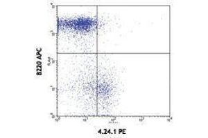 Flow Cytometry (FACS) image for anti-Poliovirus Receptor (PVR) antibody (PE) (ABIN2663059) (Poliovirus Receptor antibody  (PE))