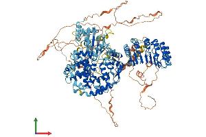 AlphaFold protein structure predicition of Human Recombinant CIITA Protein, UniprotID P33076