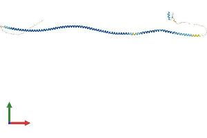AlphaFold protein structure predicition of Mouse Recombinant Ikbkg Protein, UniprotID O88522 (IKBKG Protein (AA 1-412) (His tag))