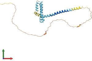 Protein Structure (PS) image for Receptor Accessory Protein 4 (REEP4) (AA 1-257) protein (His tag) (ABIN7551278)