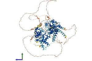 Protein Structure (PS) image for RecQ Protein-Like 5 (RECQL5) (AA 1-982) protein (His tag) (ABIN7564772)