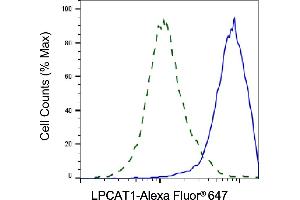 Validation of LPCAT1 knockdown using flow cytometry. (Recombinant LPCAT1 antibody)