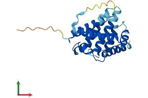 AlphaFold protein structure predicition of Human Recombinant BAX Protein, UniprotID Q07812 (BAX Protein (AA 1-192) (His tag))