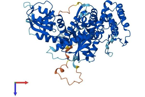STXBP3 Protein (AA 1-592) (His tag)